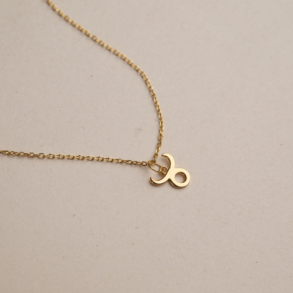 Forgyldt sølv stjernetegn halskæde mulighed for at købe smykker som gaveindpakning med personlig hilsen sisi smykker til kvinder se mere.